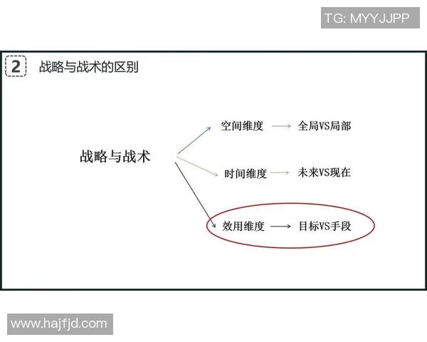 乒乓球深度解析西安乒乓球队如何实现整体压制与战术优势 乒乓球深度解析西安乒乓球队如何实现整体压制与战术优势