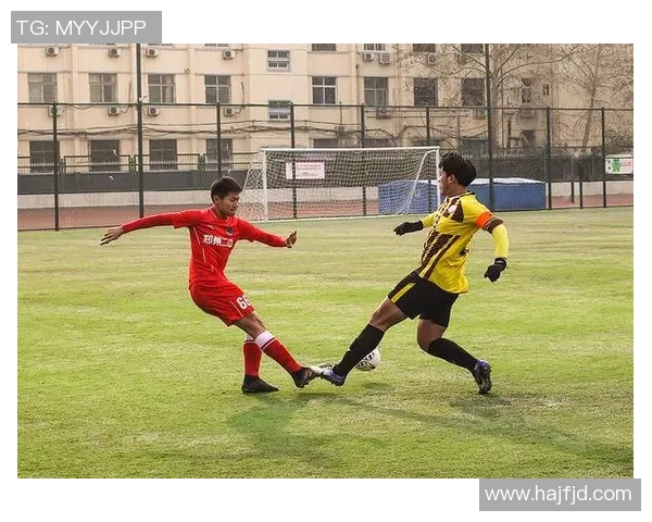 南京羽毛球队的力量变革引发热议探索新战略与未来发展方向